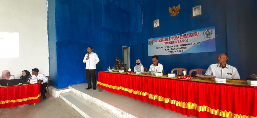 38d4edcf-f683-4f5b-b6f1-2d9375ba0604