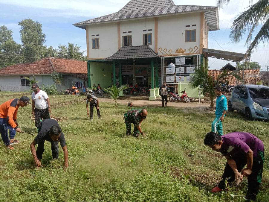 4b5b6ffb-fc1e-4956-9ddc-a67ab58554ce