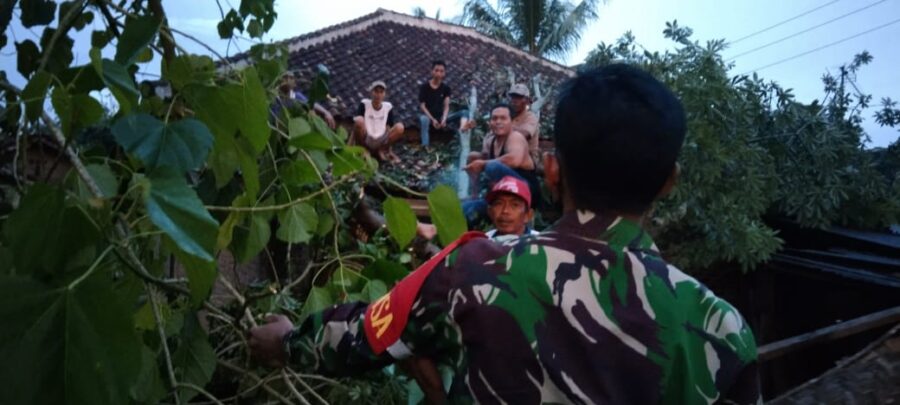 9d338a7f-8b1f-455e-85b4-fe4edbba9bdb