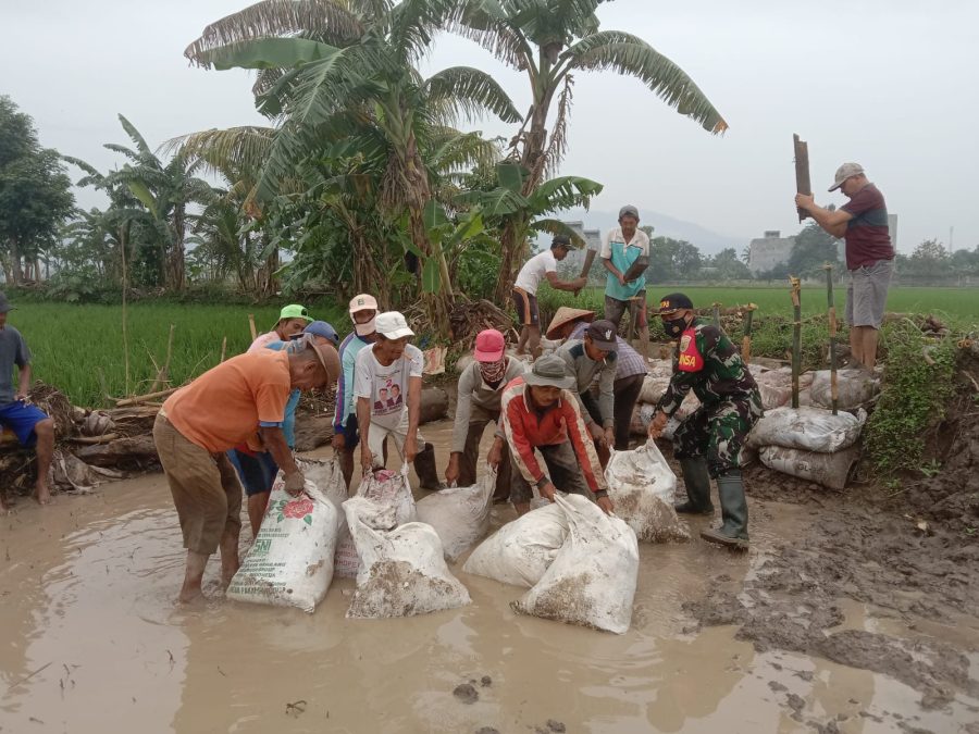 c7349291-be1d-40a3-9157-fed9e7f4015f