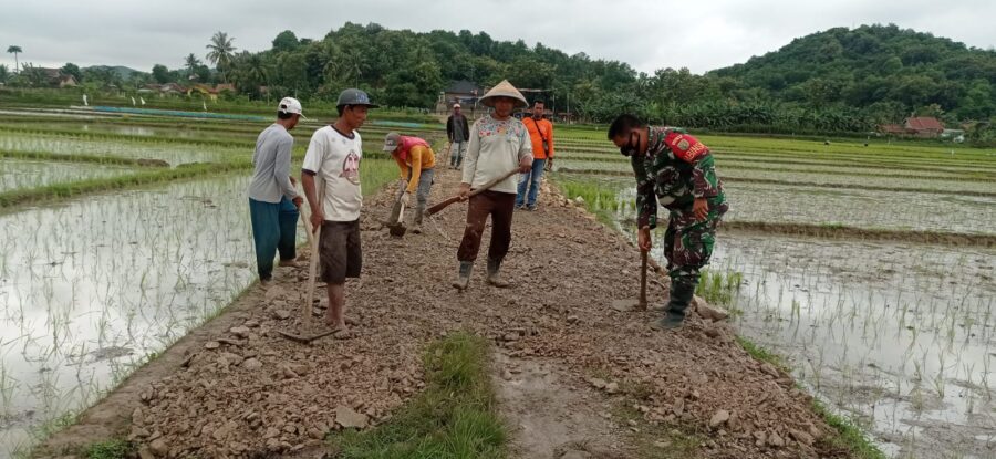 efa87b59-a5b5-4ef9-856f-a766c0116865