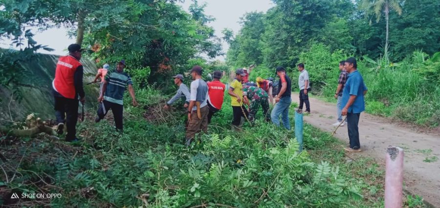 55d29202-94d1-4d63-a8c0-f6b6c53ca6b2