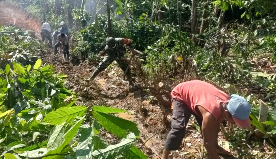 66f96354-d16e-4b47-ba58-a2417aa3feac