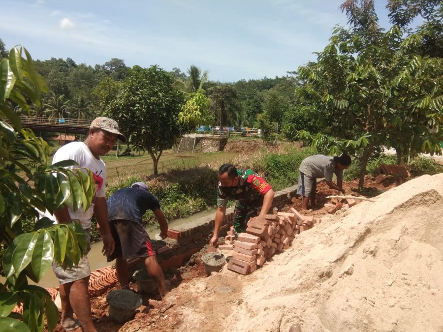 895cbae0-b9a1-429a-b524-5aed714d1000