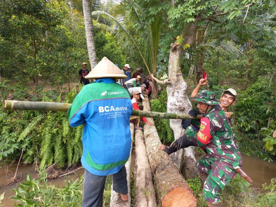 97f4c45d-949b-4f78-9688-6073ca40a736