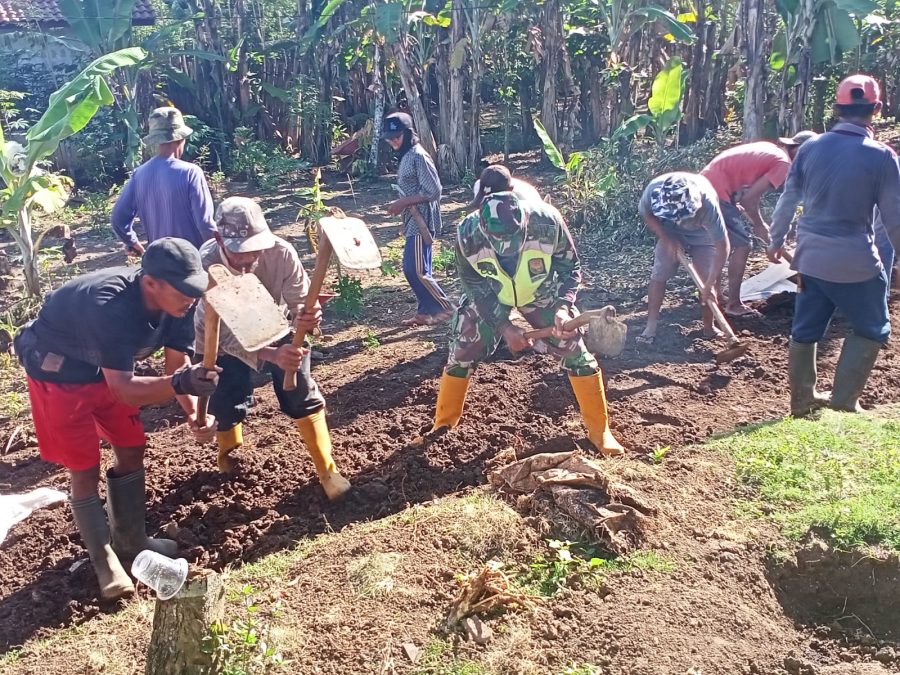 a57a1791-489d-458c-b884-10362b220010