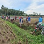 c49d00fb-ce3d-4ebe-8016-70d444f762b4-1-768x576