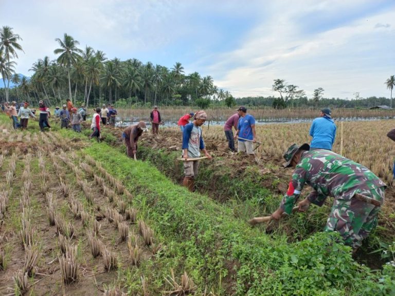 c49d00fb-ce3d-4ebe-8016-70d444f762b4-1-768x576