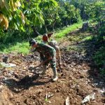 e7d65867-f670-4bb4-a386-295953e1a802