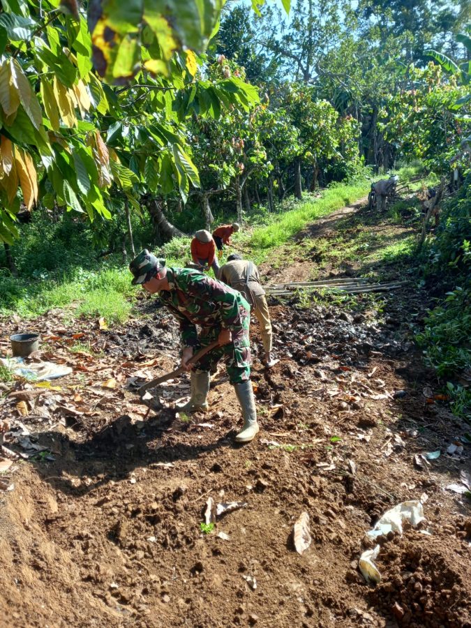 e7d65867-f670-4bb4-a386-295953e1a802