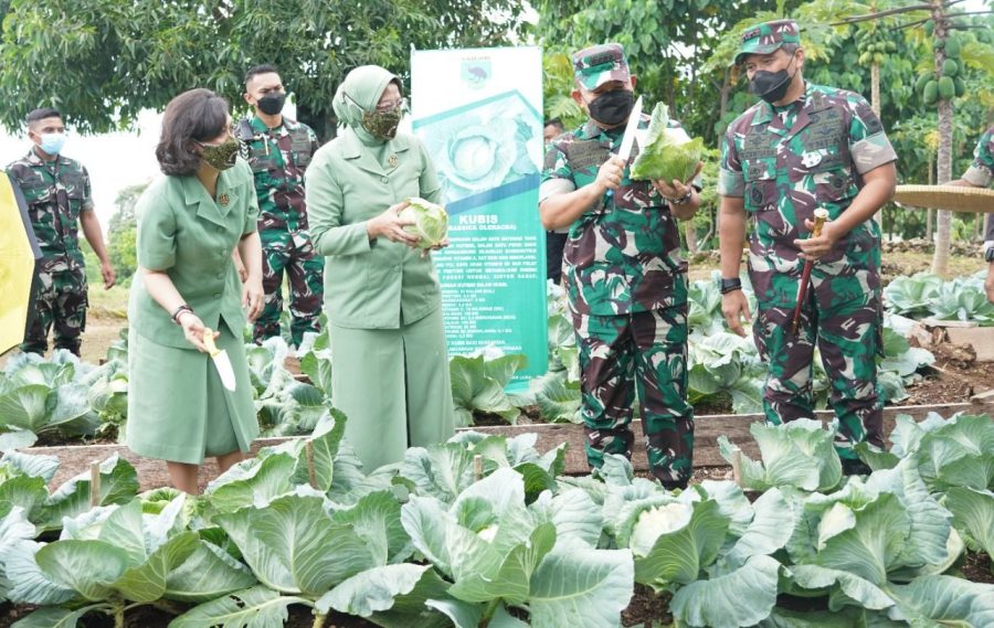 whatsapp-image-2021-11-26-at-22.31-.14-1-