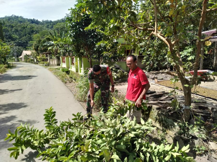 ff00c69b-3f44-4774-a327-87189f6e303b