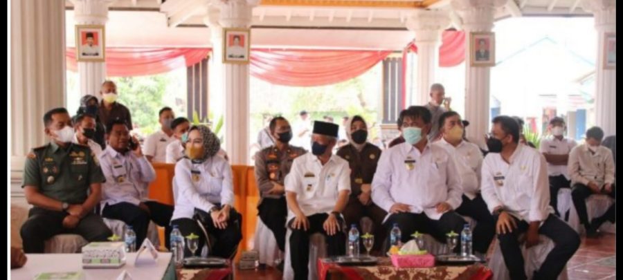 WhatsApp Image 2022-05-12 at 13.22.07