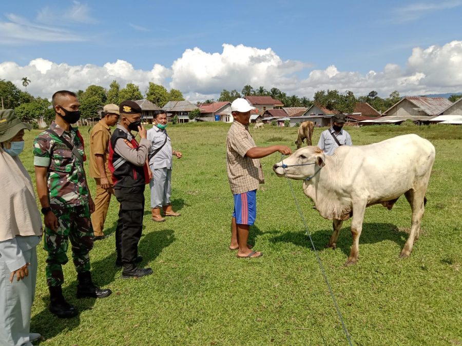 WhatsApp Image 2022-05-21 at 1.08.17 PM