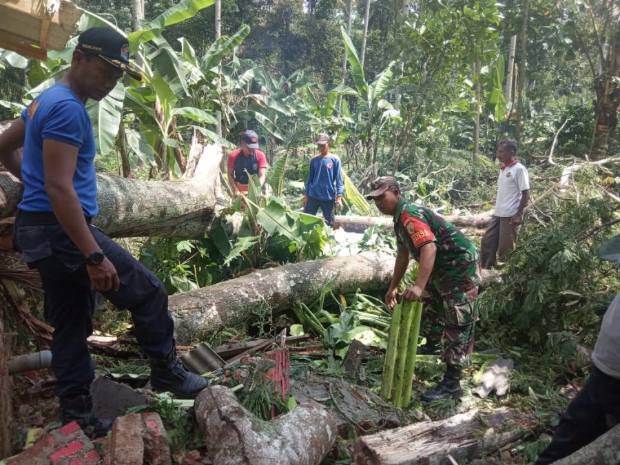 WhatsApp Image 2022-06-07 at 12.52.27