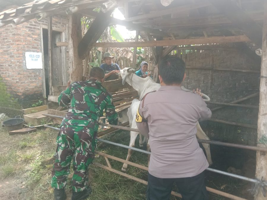 WhatsApp Image 2022-07-29 at 11.01.37