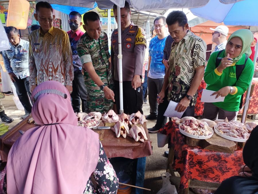 WhatsApp Image 2022-12-28 at 09.58.53