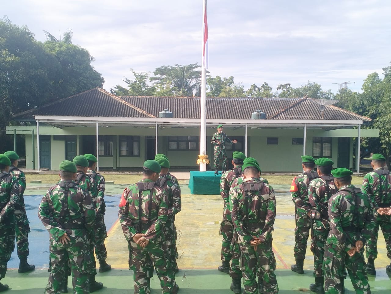 IMG-20241219-WA0032(1)