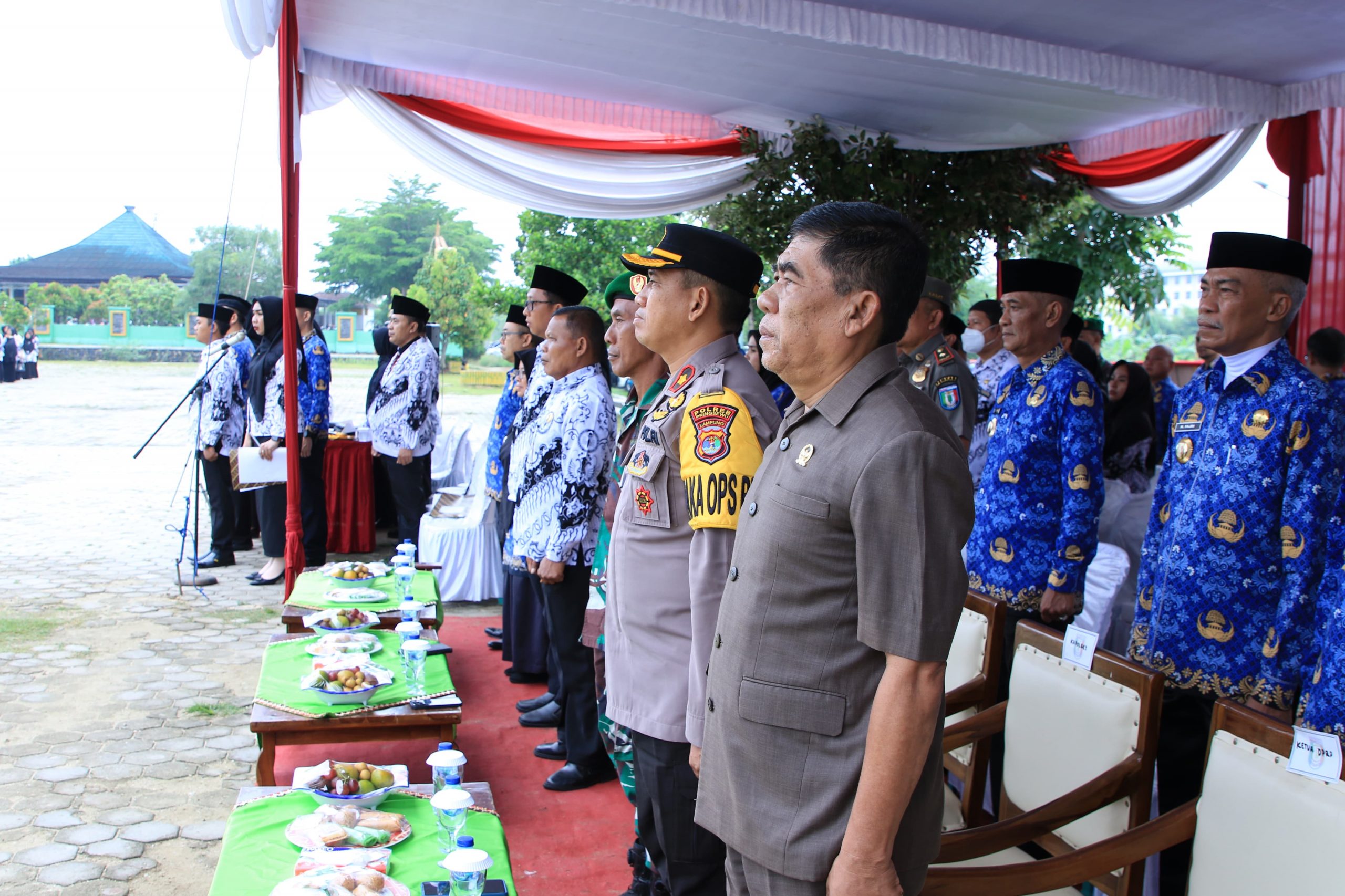 WhatsApp Image 2024-12-08 at 21.09.40