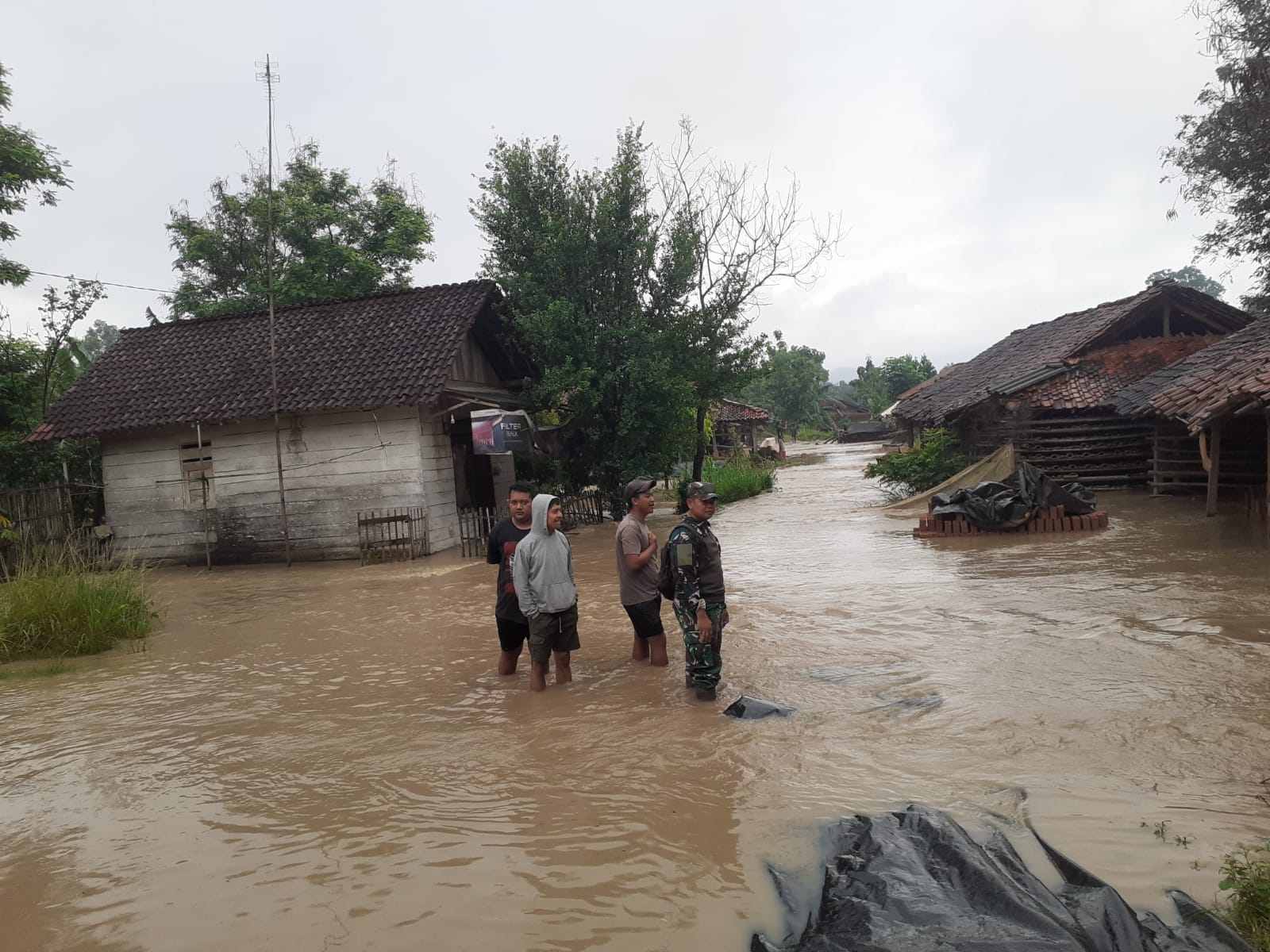 WhatsApp Image 2025-01-19 at 17.38.11 (1)