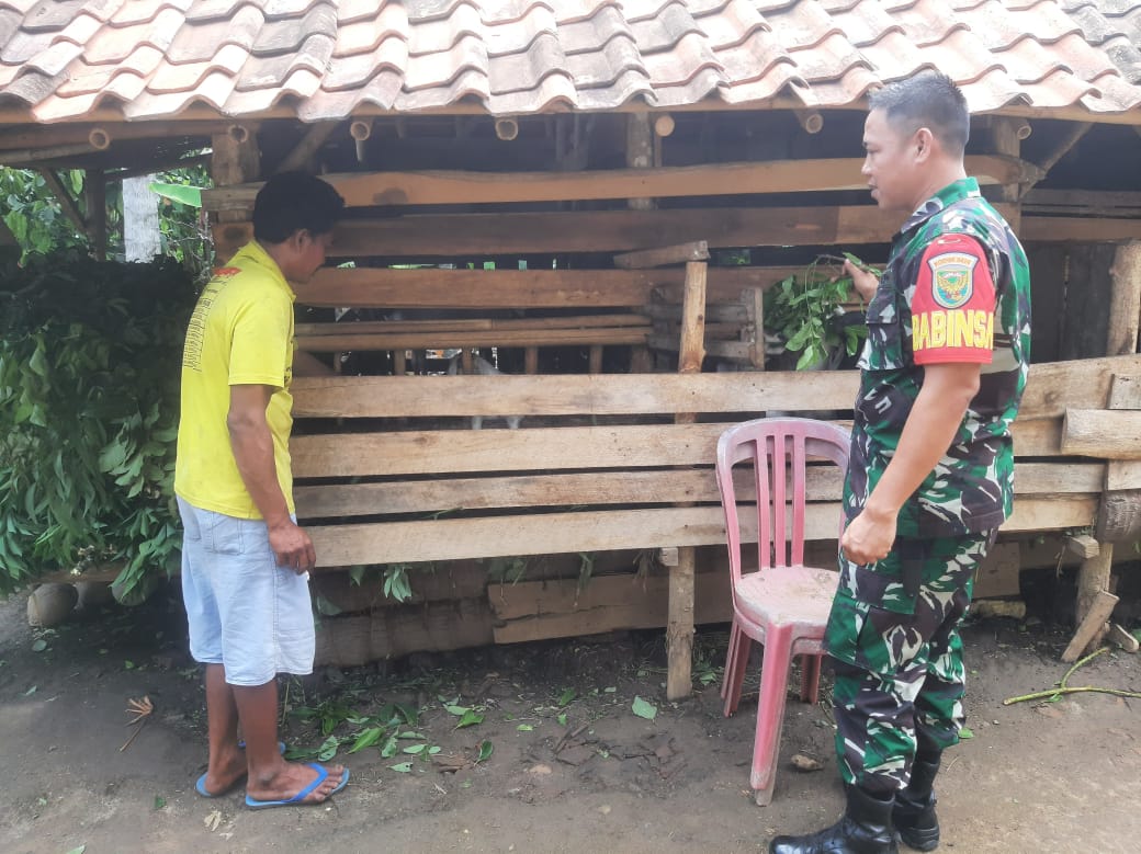 WhatsApp Image 2025-04-08 at 13.41.45